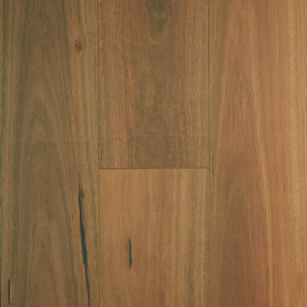 Oakleaf HD Plus Spotted Gum Laminate Flooring