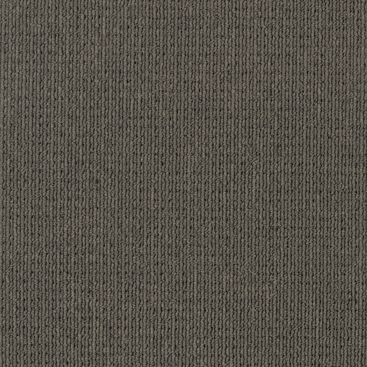 EC Savanna Coolibah carpet