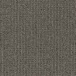 EC Savanna Cottonwood Polypropylene Carpet