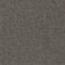 EC Savanna Cottonwood Polypropylene Carpet
