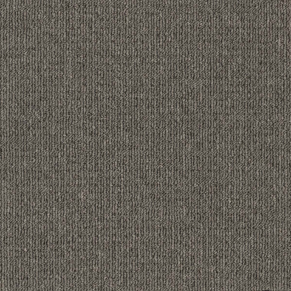 EC Savanna Cottonwood carpet