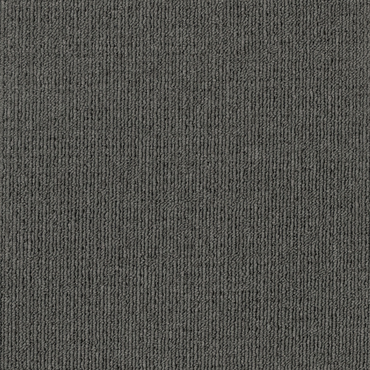 EC Savanna Wattle carpet