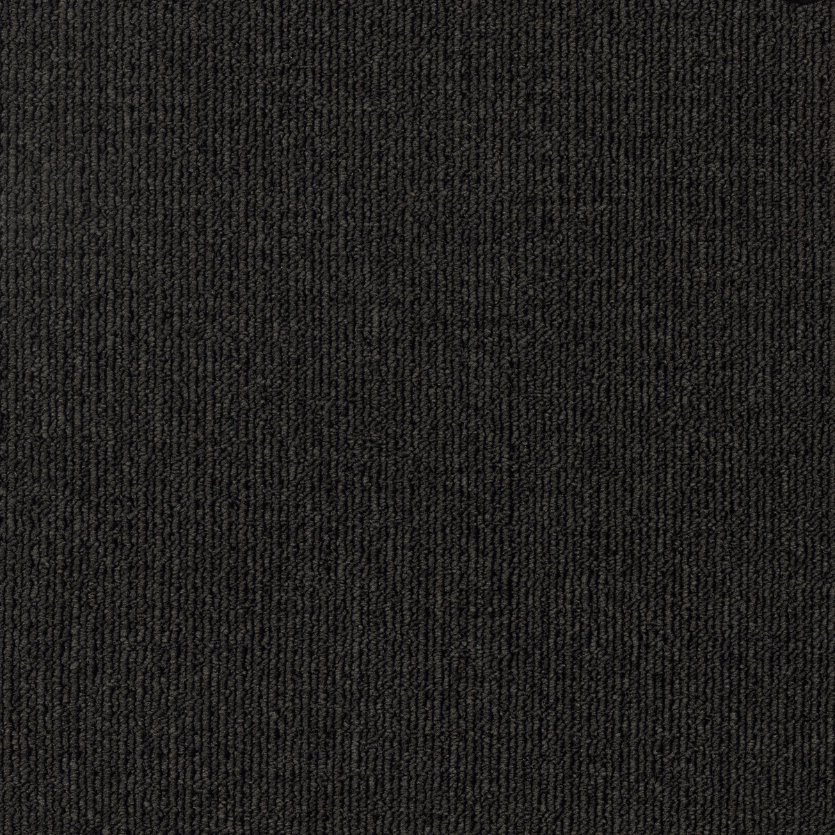 EC Savanna Copperburr carpet