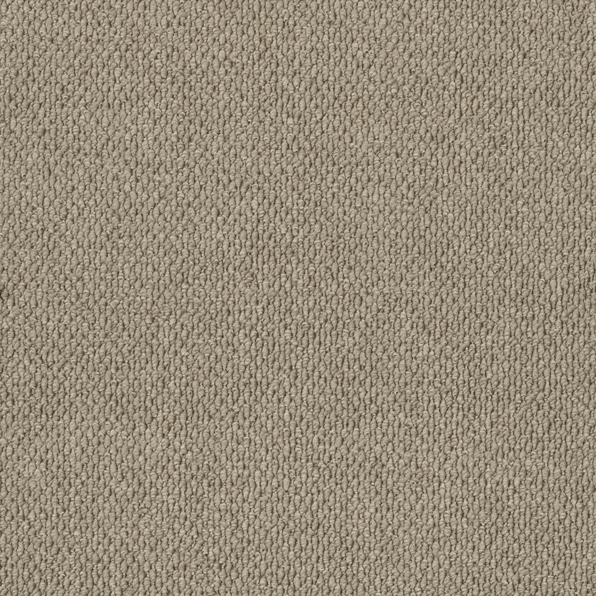 EC Summit Point Feathertop carpet