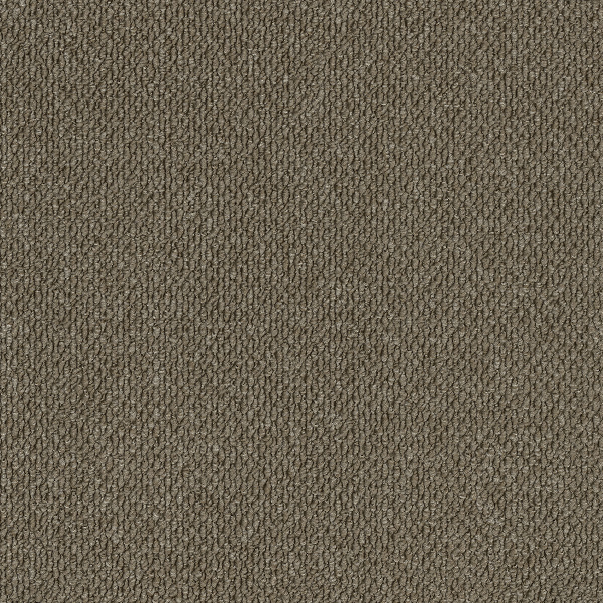 EC Summit Point Selwyn carpet