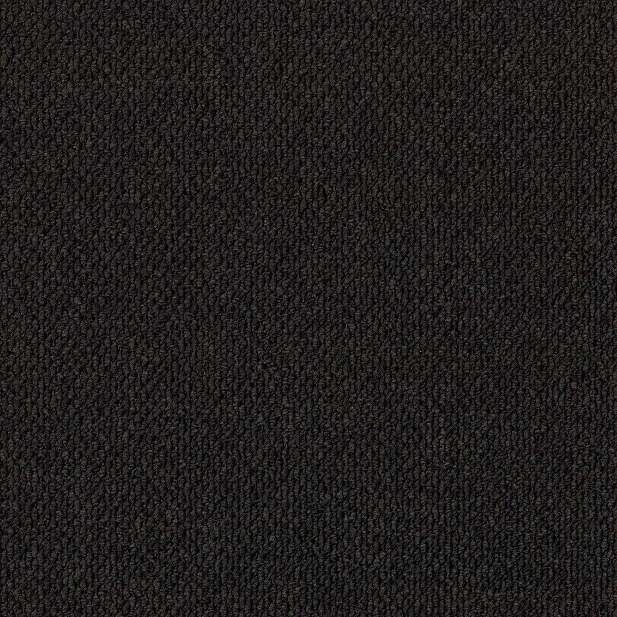 EC Summit Point Franklin carpet