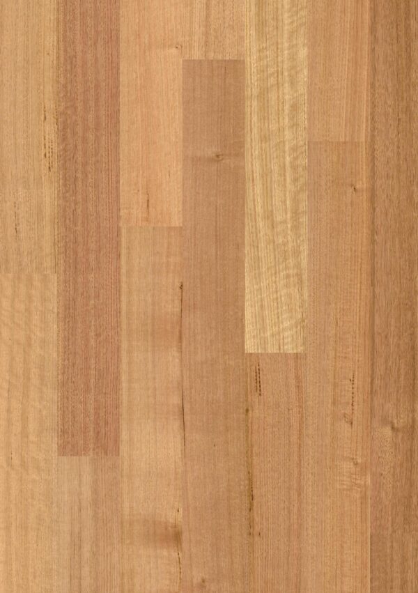 Sidura 1 Strip Tasmanian Oak Matt Engineered Timber Flooring