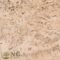 New Generation Cork Calais Cream Flooring Tile 305 × 305 × 6mm