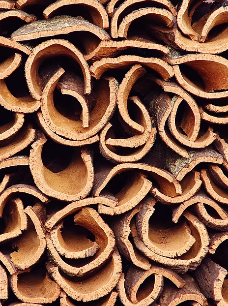 New Generation Raw Cork Bark