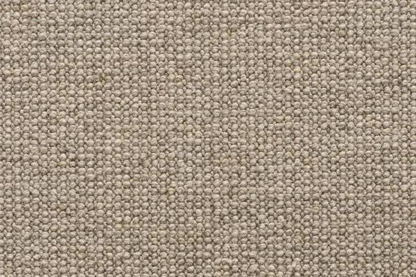Signature Floors Brit Bramble carpet