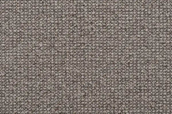 Signature Floors Brit Raine carpet