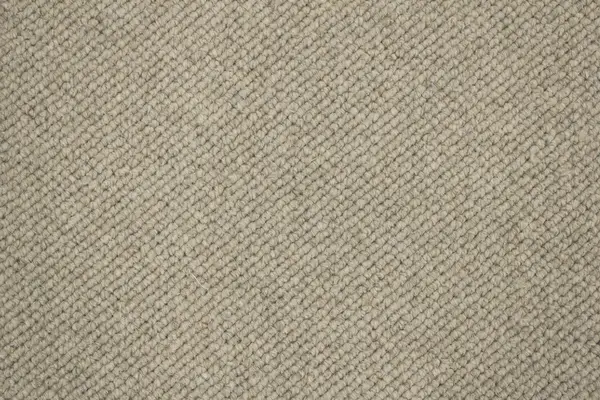 Signature Floors Nobby Oat carpet