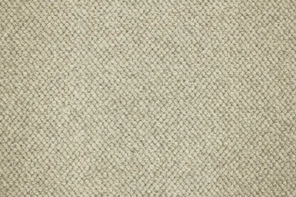 Signature Floors Nobby Flaxseed carpet