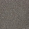 Signature Floors Mink Balakavo Carpet