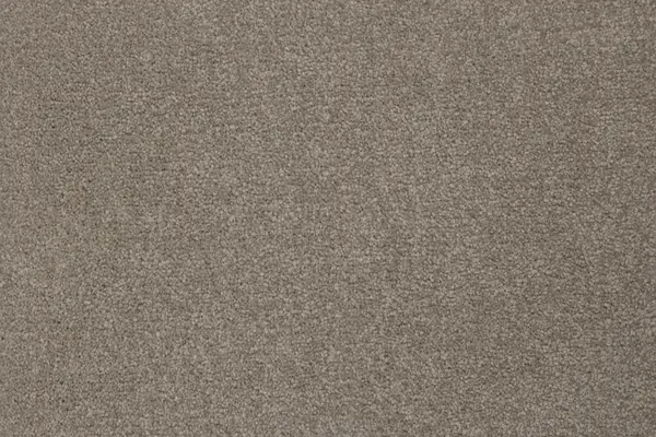 Signature Floors Mink Serov carpet
