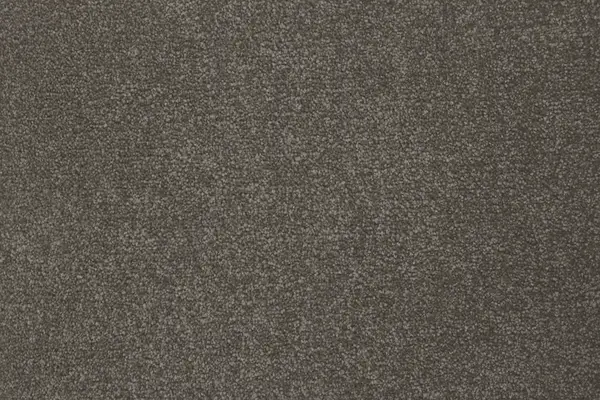 Signature Floors Mink Kazan carpet