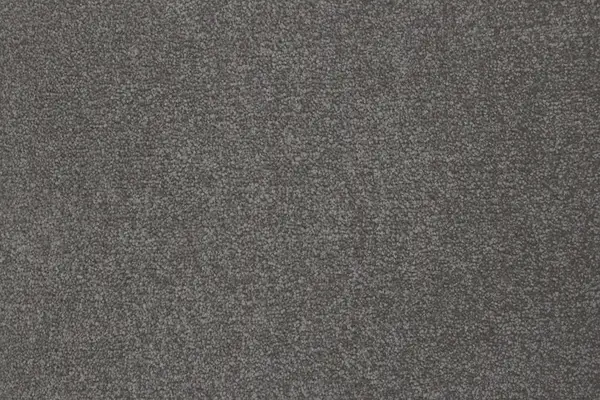 Signature Floors Mink Tomsk carpet
