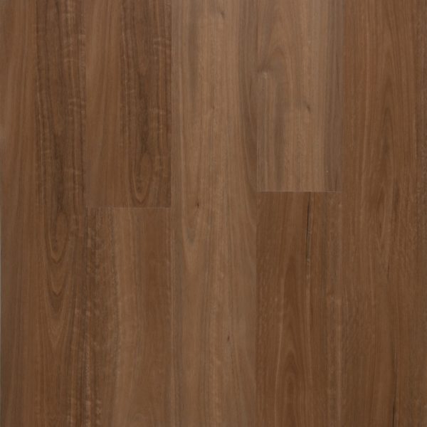 Golden Elite Instinct Spotted Gum vinyl plank flooring