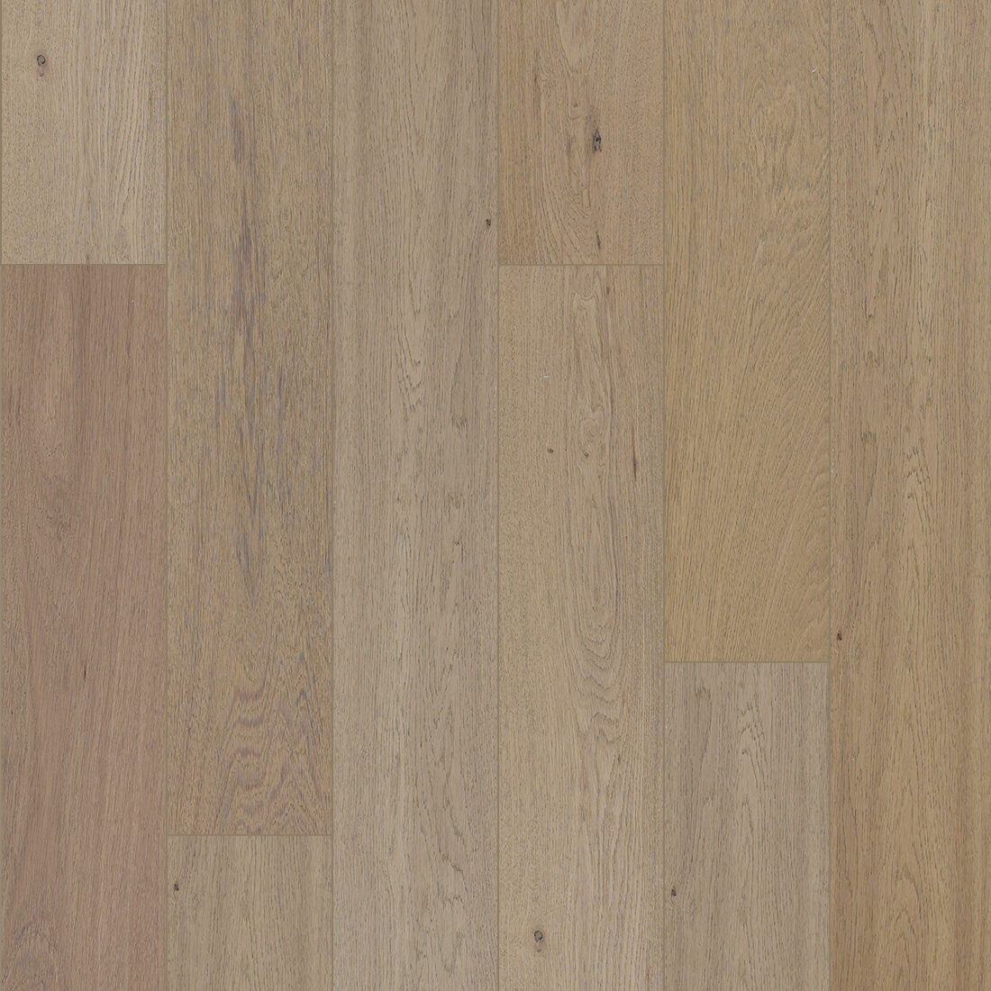 Golden Elite Harmony Toffee Oak engineered timber flooring