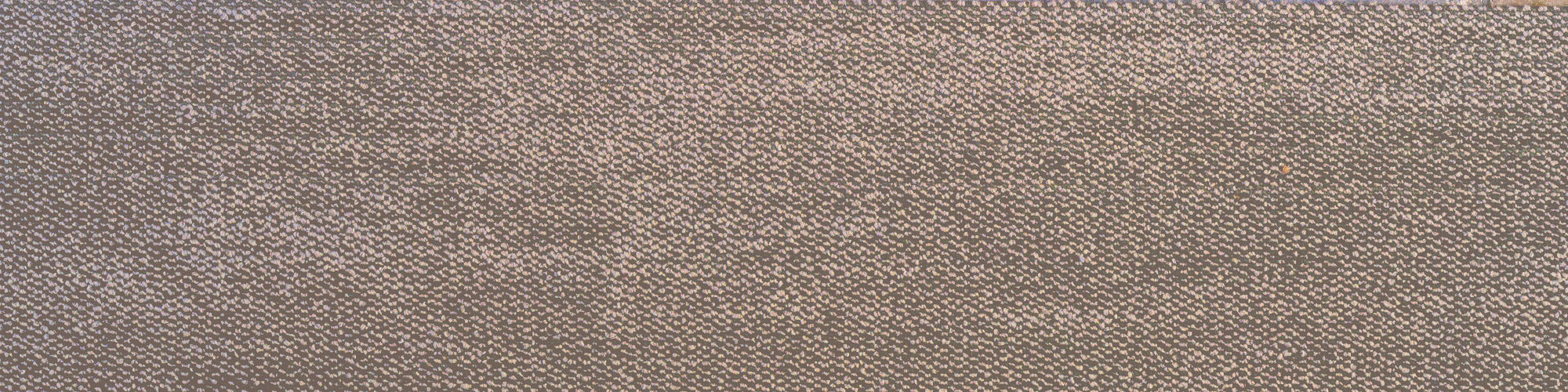 Armstrong Proximity Bushland carpet tile