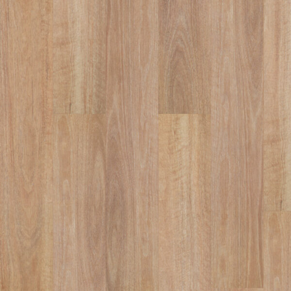 Premium Floors Titan Home Pale Spotted Gum hybrid flooring