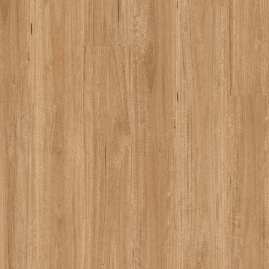 Premium Floors Titan Comfort Bleached Blackbutt vinyl plank flooring
