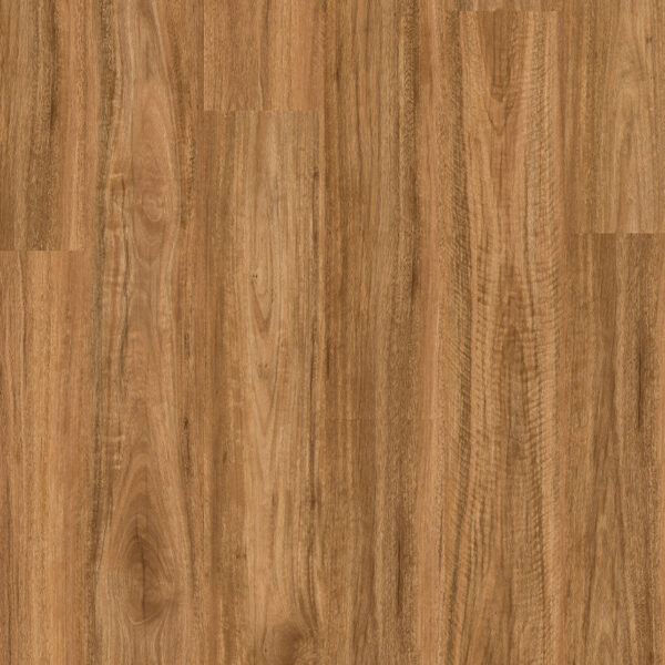 Premium Floors Titan Glue Spotted Gum vinyl plank flooring