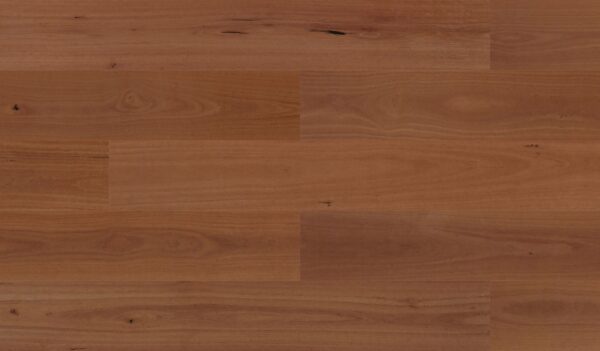 Sunstar Australian Hardwood 190mm Naturals Sydney Blue Gum engineered timber flooring