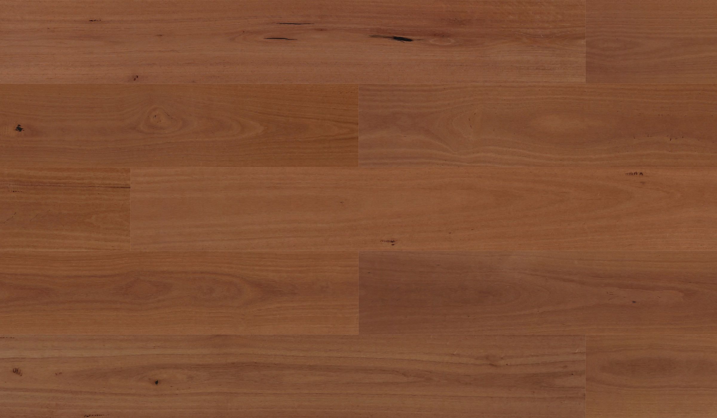 Sunstar Australian Hardwood 190mm Naturals Sydney Blue Gum engineered timber flooring