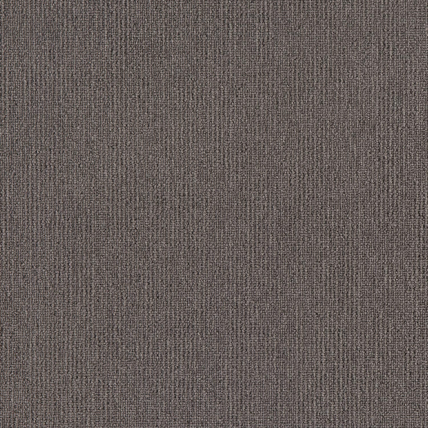 Airlay Elegance Coast Cushion Back carpet