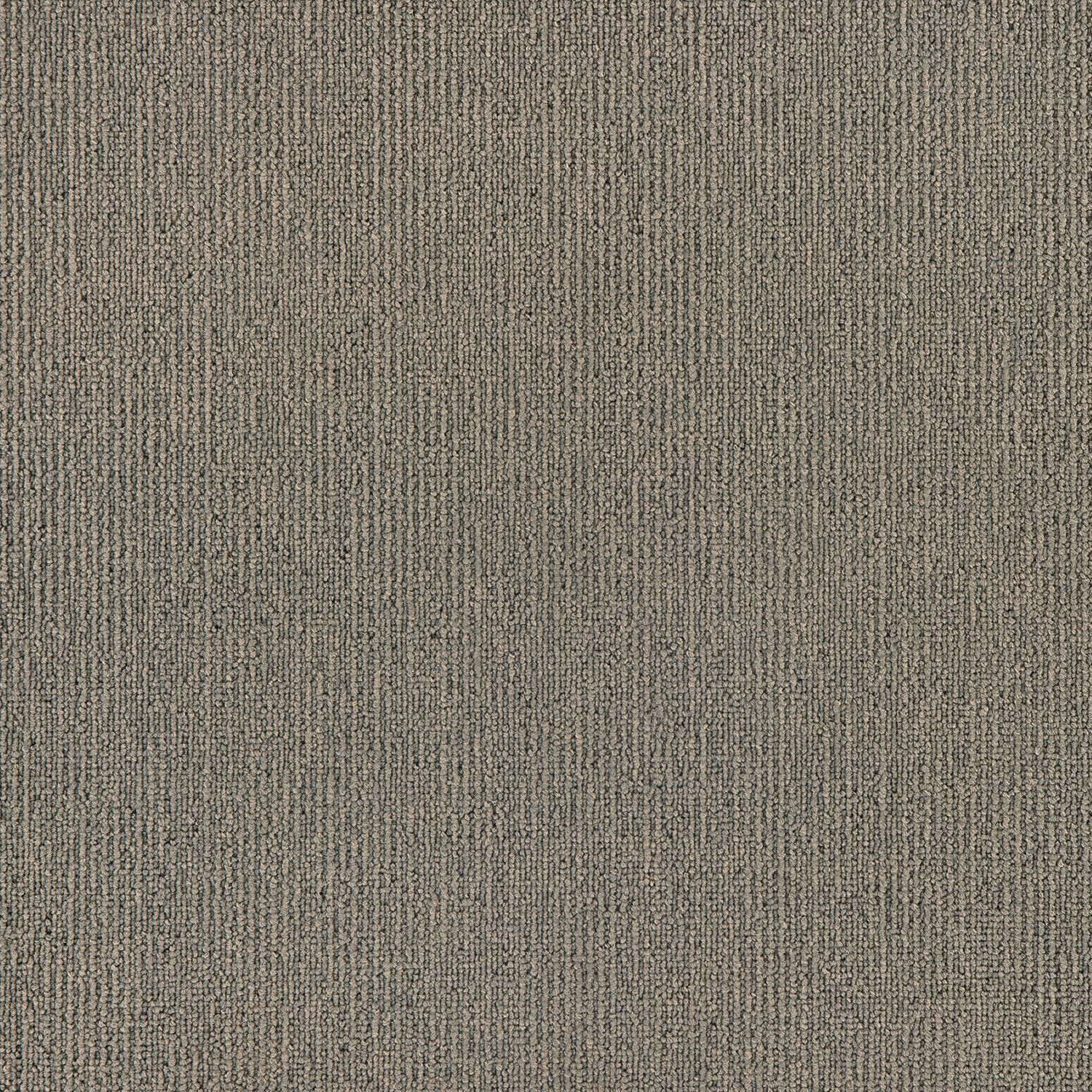 Airlay Elegance Putty Cushion Back carpet