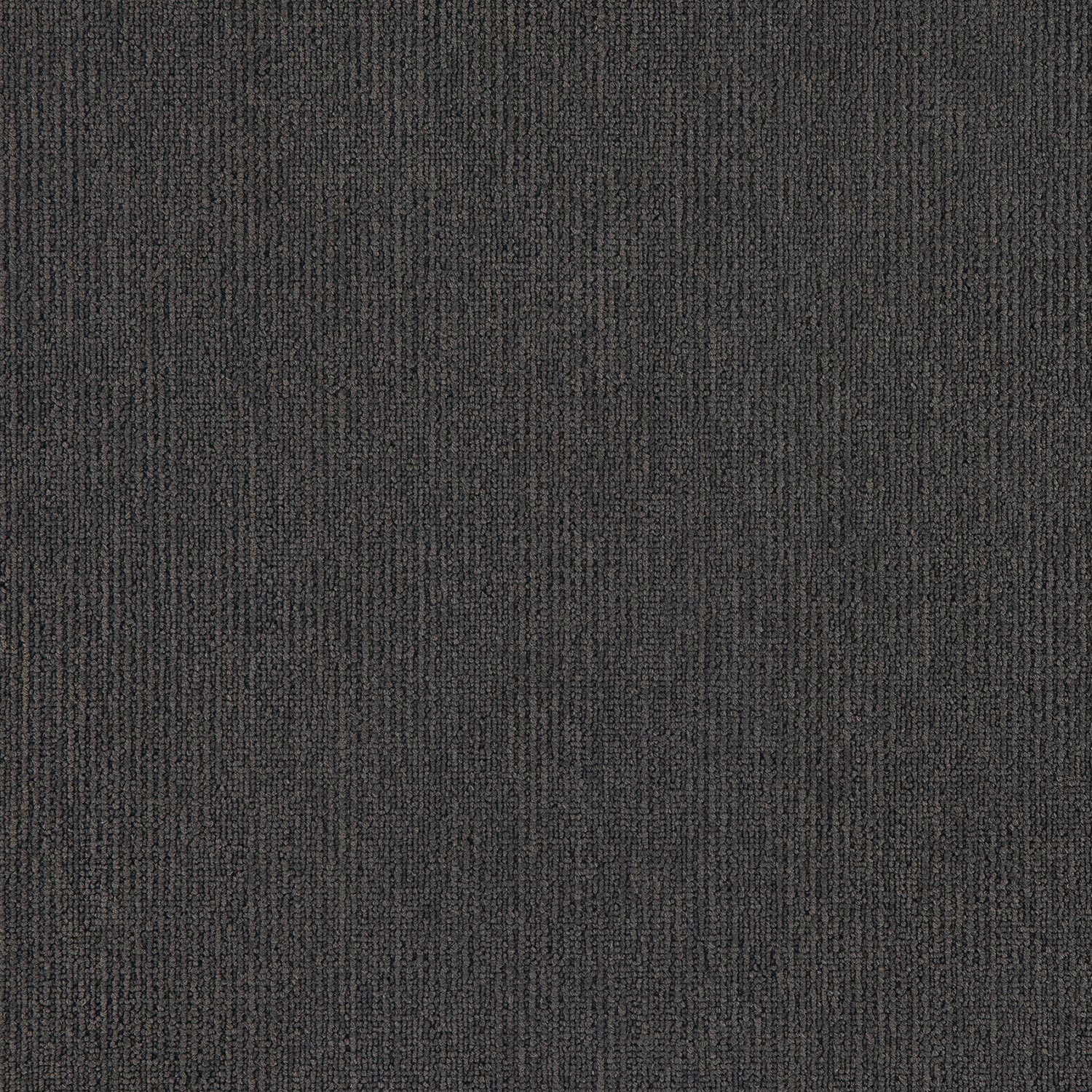 Airlay Elegance Shale Cushion Back carpet