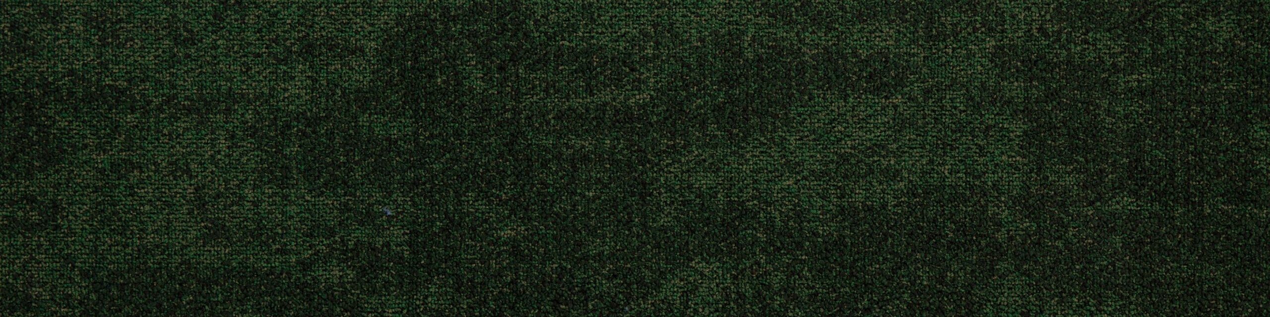 Airlay Pebble Cushion Back Jade carpet plank