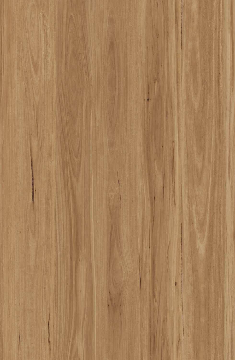 Godfrey Hirst Legacy Luxe Bayside Blackbutt 12mm laminate flooring board