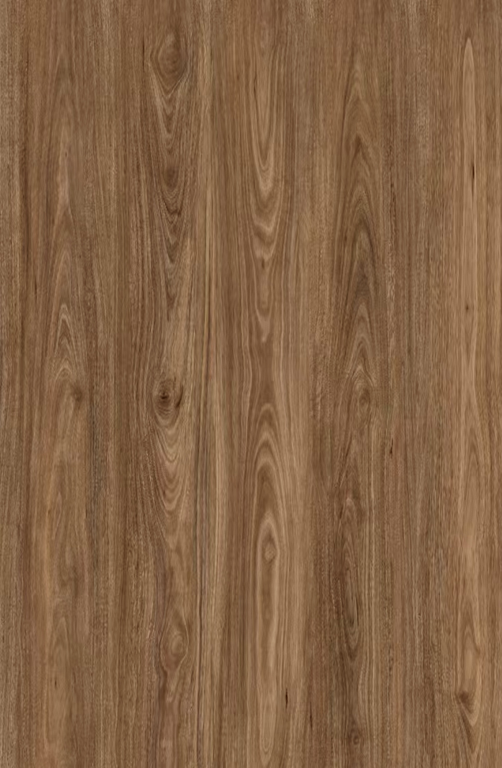 Godfrey Hirst Legacy Luxe Mallee Gum 12mm laminate flooring board