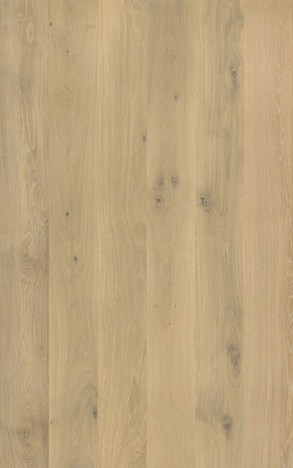 Godfrey Hirst Chateau Oak Sienna Oak light warm oak engineered timber flooring