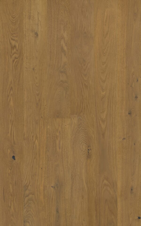 Godfrey Hirst Chateau Oak Chestnut Oak warm mid-brown oak engineered timber flooring