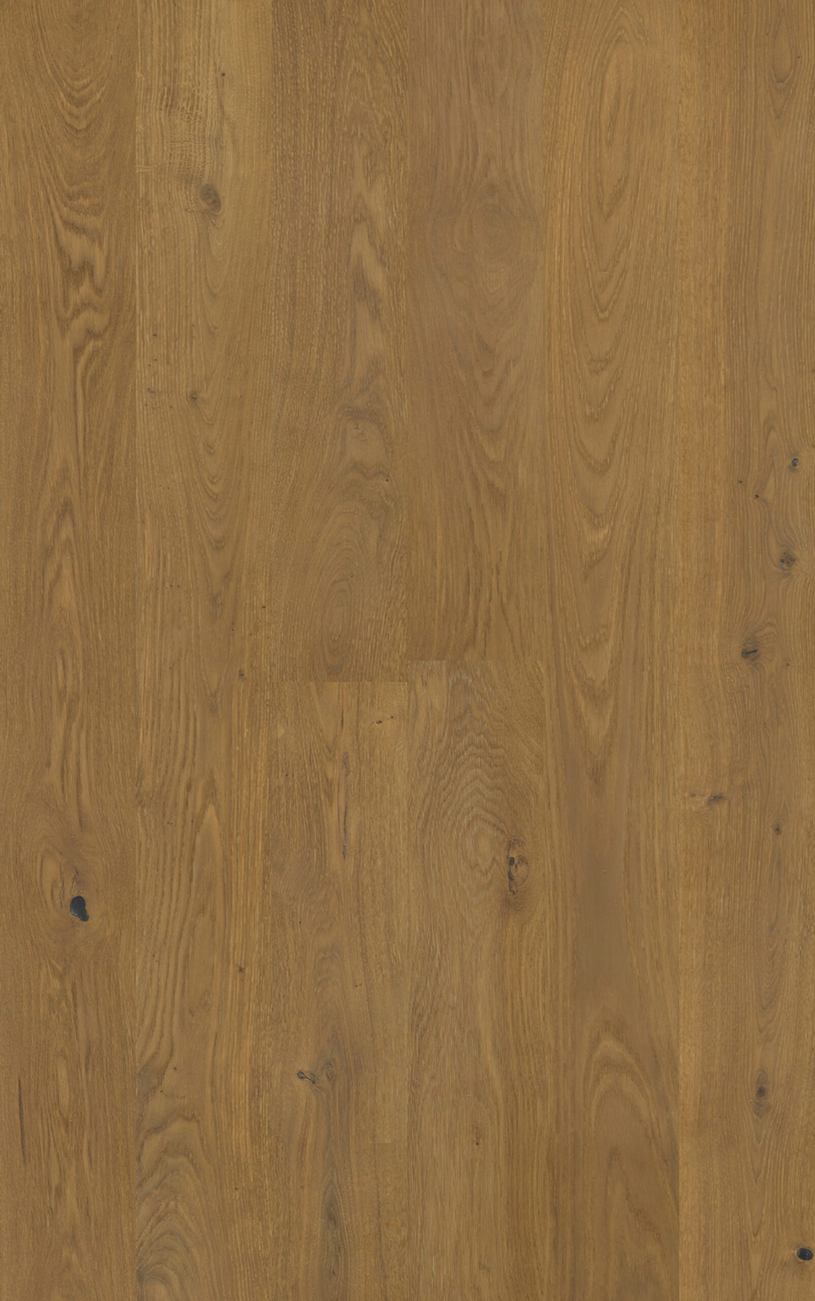 Godfrey Hirst Chateau Oak Chestnut Oak warm mid-brown oak engineered timber flooring