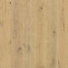 Godfrey Hirst Chateau Oak Willow Oak Engineered