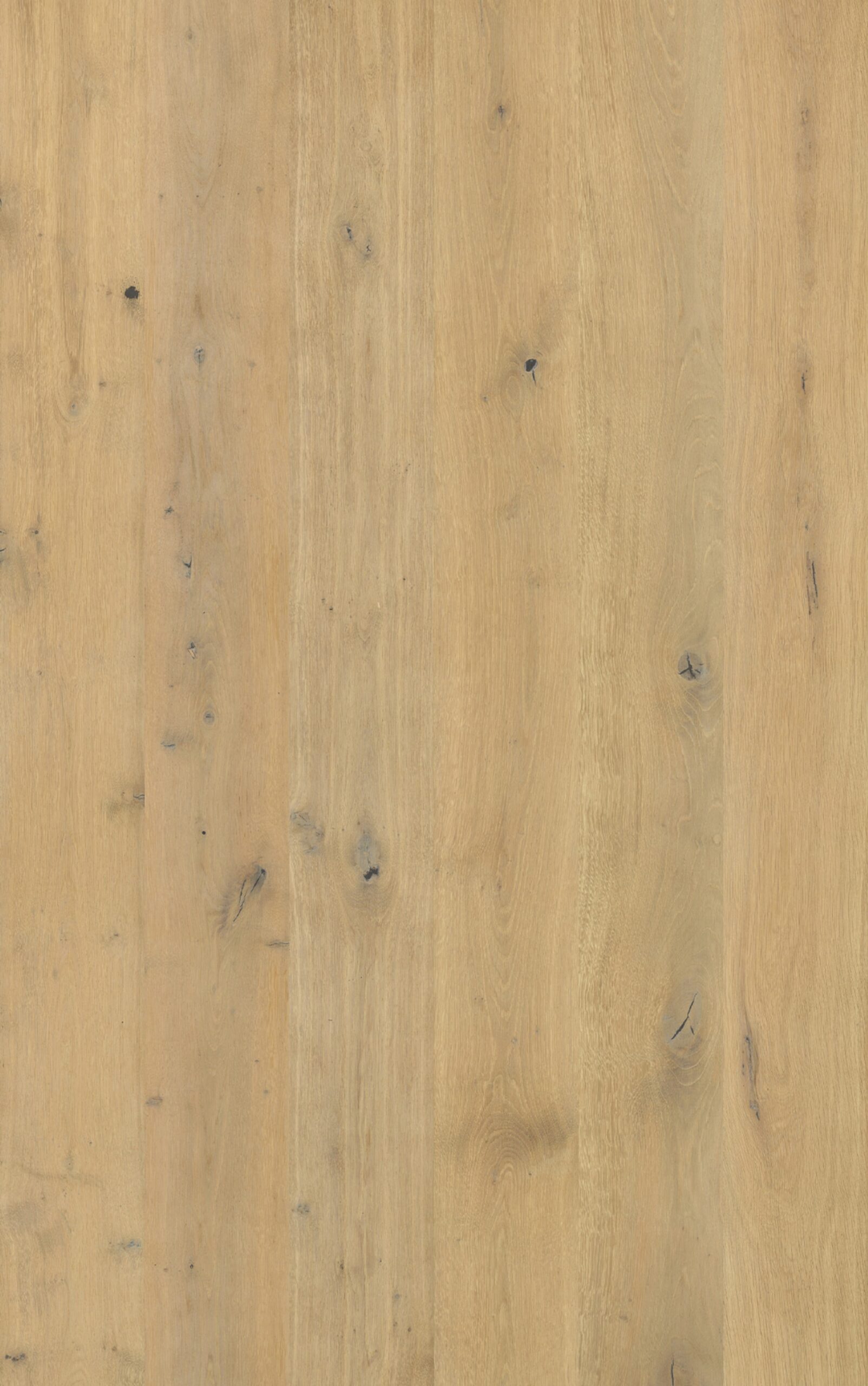 Godfrey Hirst Chateau Oak Willow Oak light honey oak engineered timber flooring
