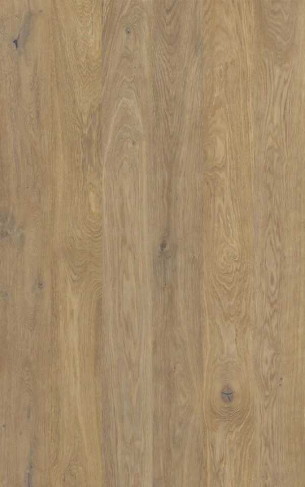 Godfrey Hirst Chateau Oak Elm Oak light natural oak engineered timber flooring