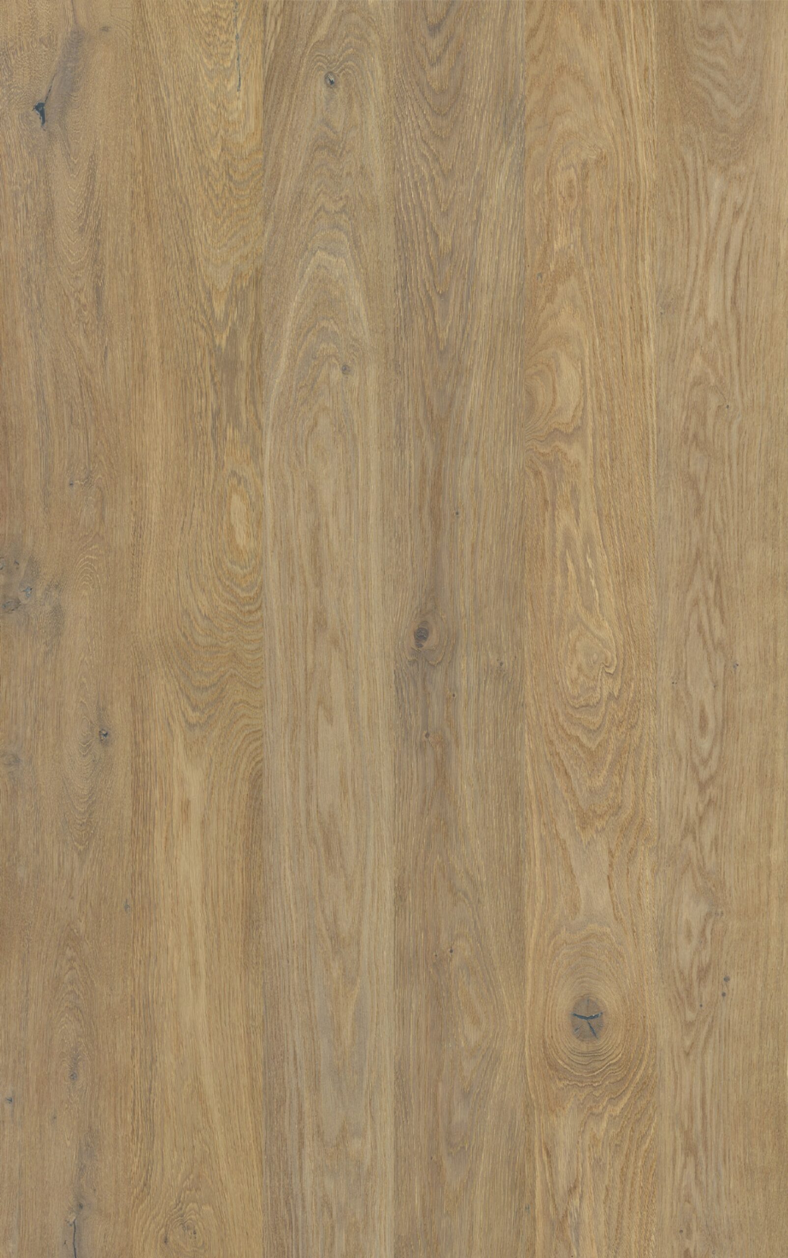 Godfrey Hirst Chateau Oak Elm Oak light natural oak engineered timber flooring
