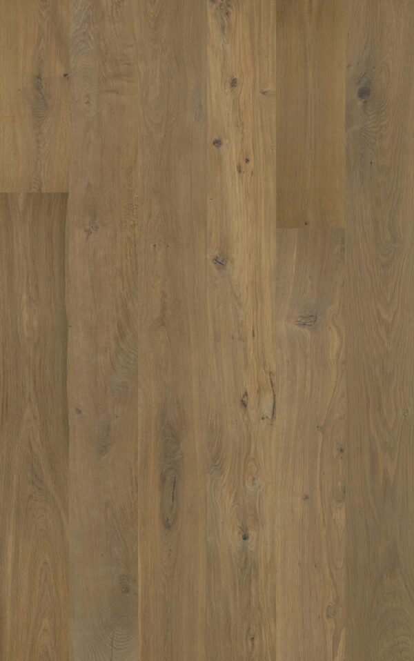 Godfrey Hirst Chateau Oak Bur Oak grey-brown smoked oak engineered timber flooring