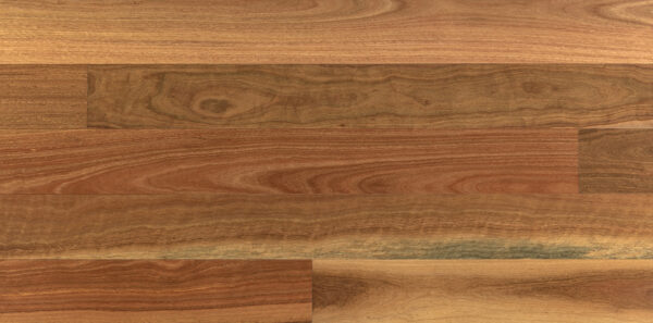Clever Choice Australian Heritage Spotted Gum 180mm engineered timber flooring