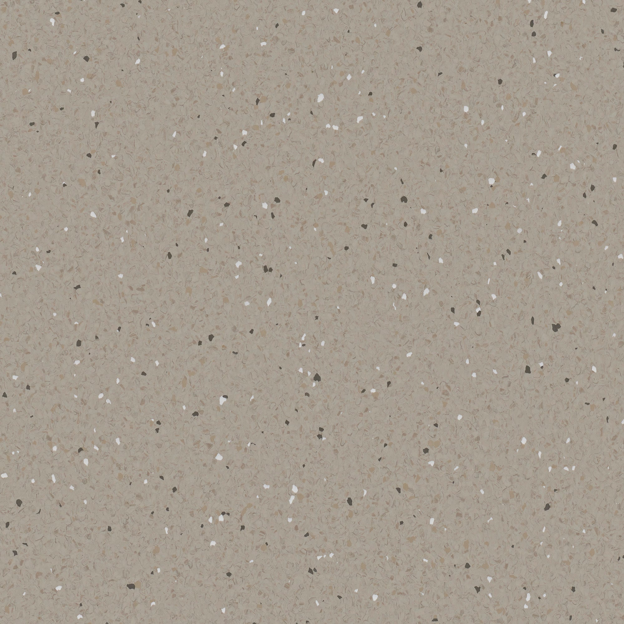 Armstrong Natralis Quokka vinyl sheet flooring