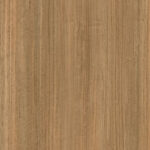 Arthouse Solid Tasmanian Oak Luxury Vinyl Plank