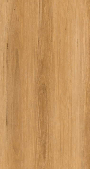 Arthouse Solar Blackbutt Luxury Vinyl Plank