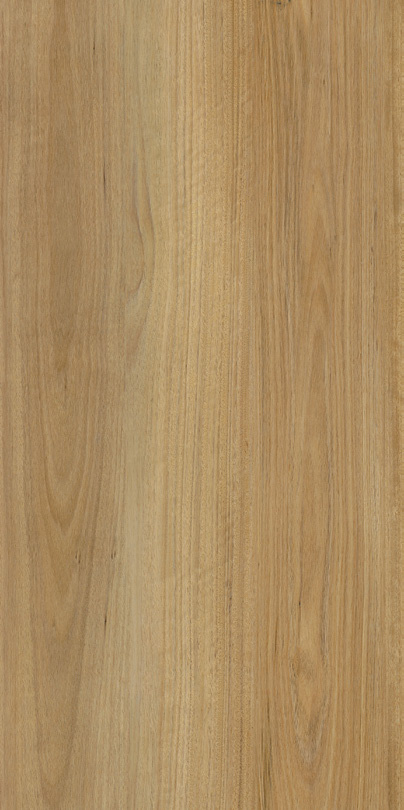 Arthouse Solar Tasmanian Oak Luxury Vinyl Plank