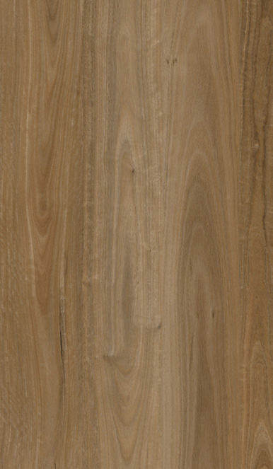 Arthouse Solar Spotted Gum Luxury Vinyl Plank
