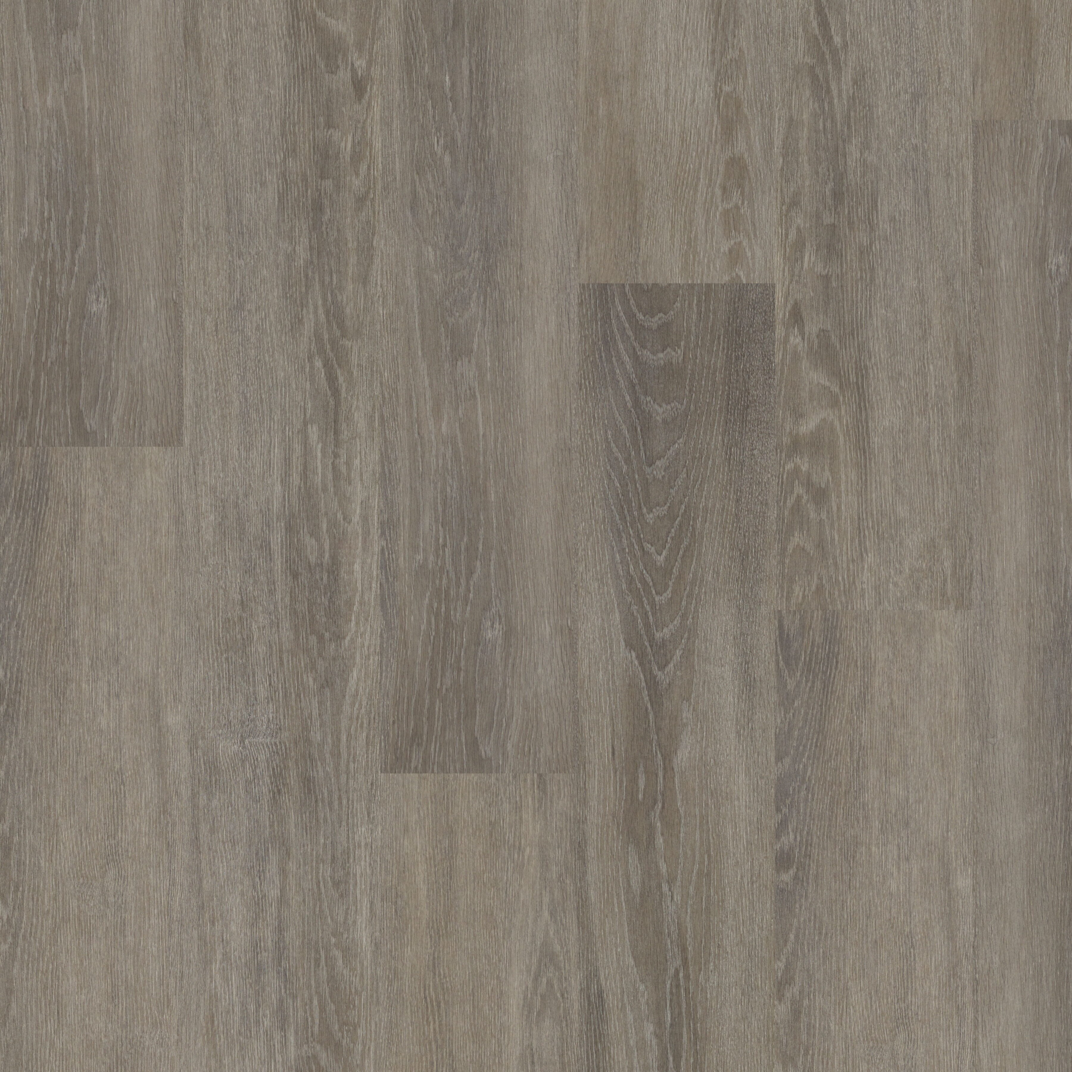 Polyflor Camaro Bayswater Oak Vinyl Plank Flooring
